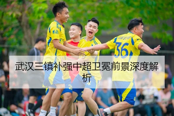 武汉三镇补强中超卫冕前景深度解析