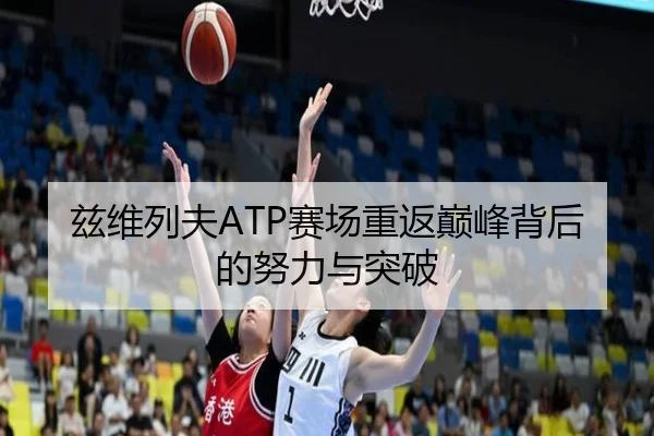 兹维列夫ATP赛场重返巅峰背后的努力与突破